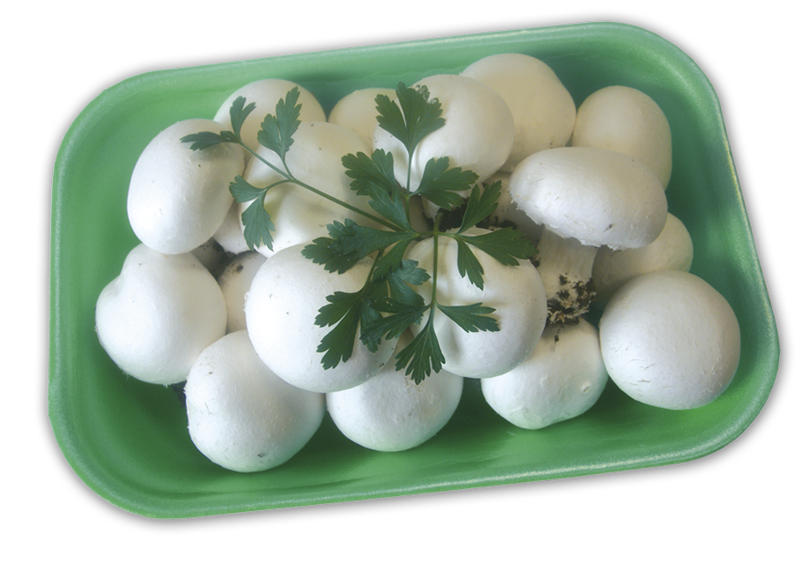 Funghi-Champignon-interi-Tornese_8d143b8035ce66f FUNGHI CHAMPIGNON interi Gr. 450 - immagine 1