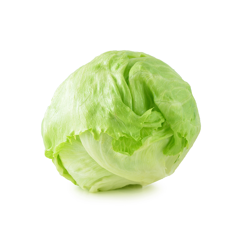 ICEBERG INSALATA ICEBERG - immagine 1