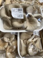 FUNGHI PLEUROTUS Gr. 250