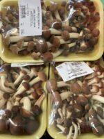 FUNGHI CHIODINI Gr. 250
