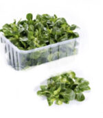VALERIANA gr 100