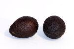AVOCADO HASS