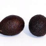 AVOCADO HASS