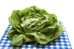 INSALATA CAPPUCCINA - immagine 2