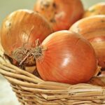 CIPOLLA DORATA
