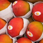 MANGO via aerea Gr 450 circa - immagine 2