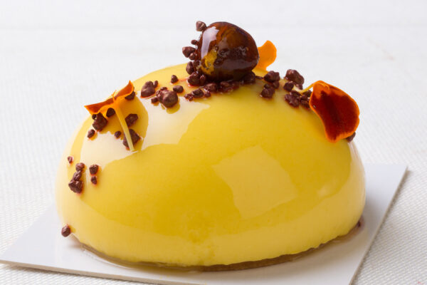 MANGO via aerea Gr 450 circa - immagine 4