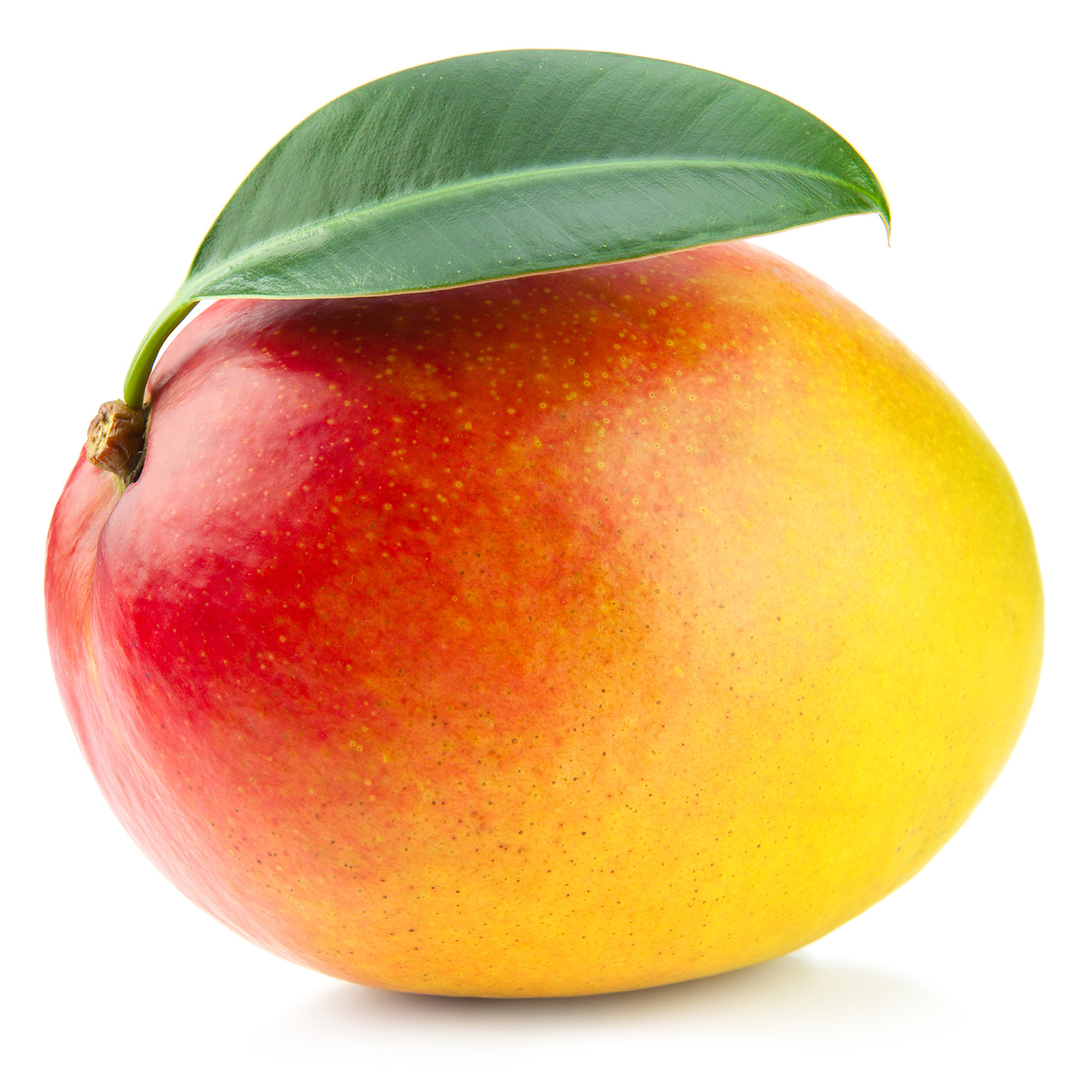 mango MANGO via aerea Gr 450 circa - immagine 1