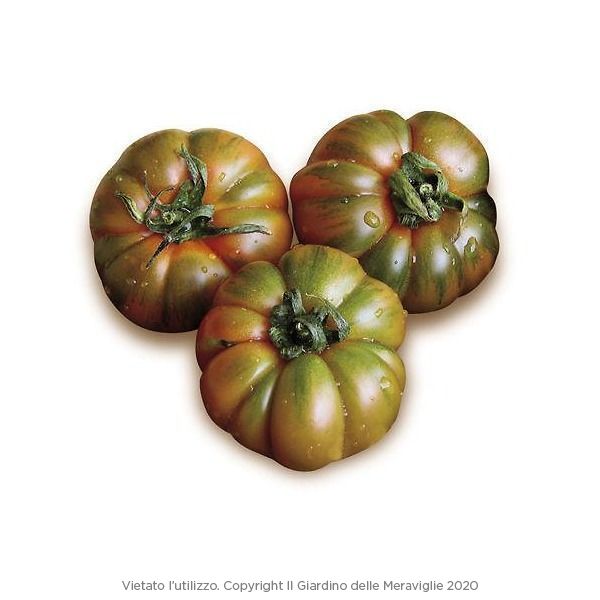 pomod. merinda POMODORI MERINDA (Gr. 500) - immagine 1