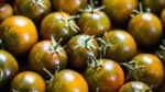POMODORI MERINDA (Gr. 500) - immagine 2