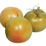 POMODORI VERDI da insalata