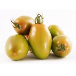 POMODORO S.MARZANO verde
