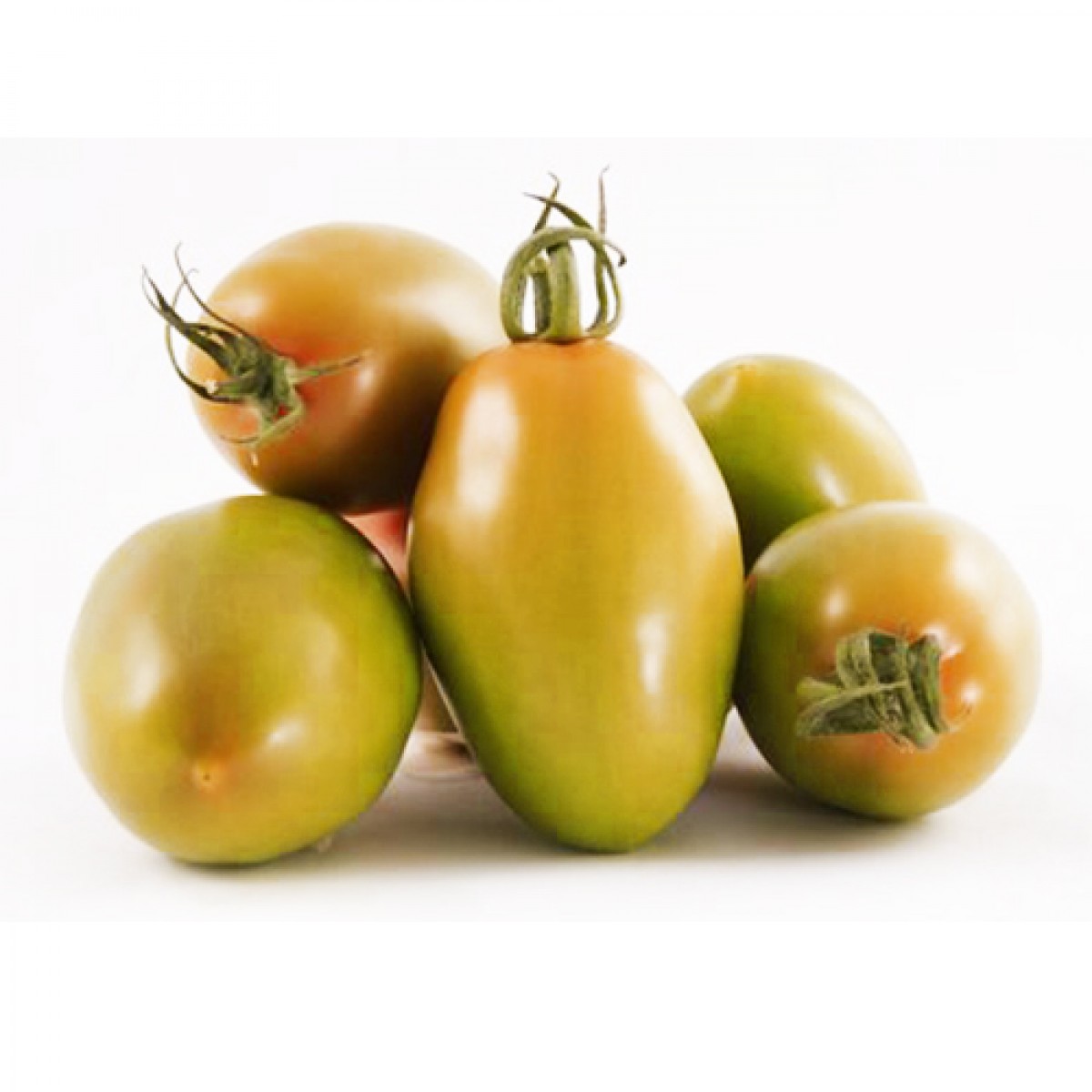 s.marzano POMODORO S.MARZANO verde - immagine 1