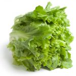 INSALATA SCAROLA