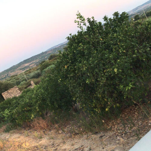 Paesaggio-catanese