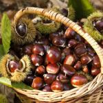 CASTAGNE  (Gr.500)