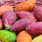 FICHI D'INDIA (fiorone)