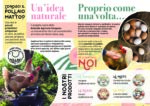 UOVA EXTRA FRESCHE (da bere) - immagine 3