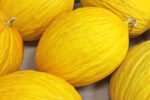 MELONI GIALLI ( € 1,50 Kg. ) - immagine 2