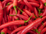 PEPERONCINI PICCANTI in vaschetta