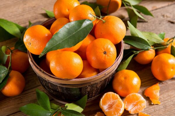 CLEMENTINE cal.  1\1x - immagine 2