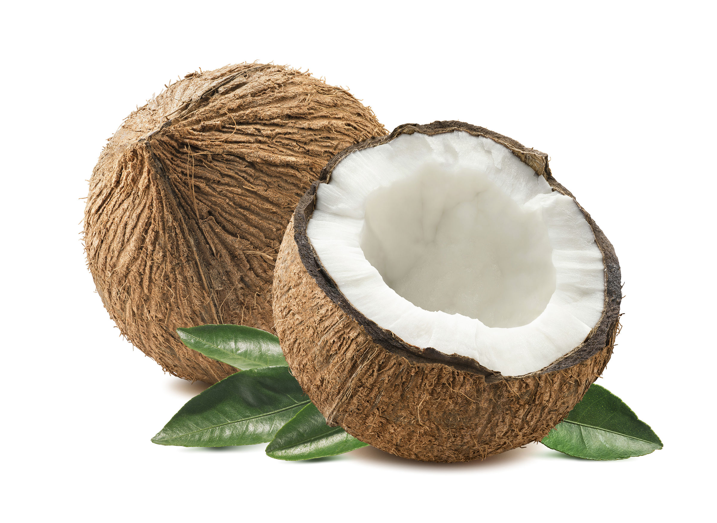 cocco NOCI DI COCCO - immagine 1