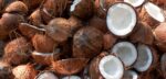 NOCI DI COCCO - immagine 4