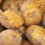 PATATE del fucino ( AGRIA )