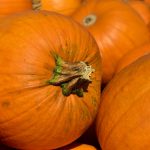 ZUCCA di HALLOWEEN