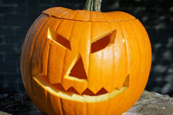 ZUCCA di HALLOWEEN - immagine 2