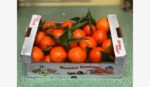 CLEMENTINE (misura media) 2 kg - immagine 2