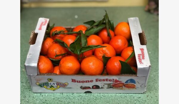 CLEMENTINE (misura media) 2 kg - immagine 2