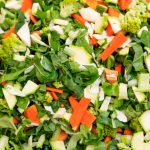 MINESTRONE DI VERDURE già pronto Gr.500