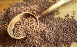 Legumi secchi: LENTICCHIE DI MONTAGNA (Gr.500)