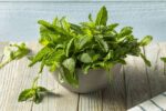 Spezie: MENTA PIPERITA (Vs. Gr. 35)