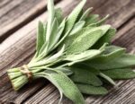 Spezie: SALVIA (vs. Gr. 35)