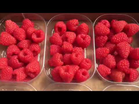 lamponi LAMPONI (vaschetta 125 Gr.) - immagine 1